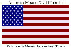 [America Means Civil Liberties / Patriotism Means Protecting 
             Them / www.aclu.org/safefree ]